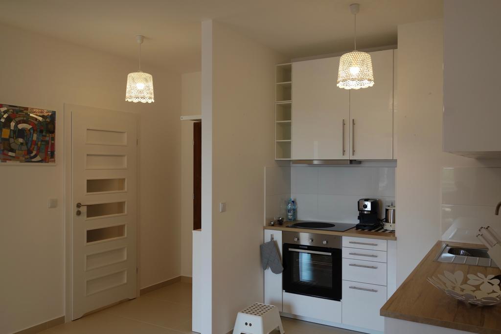1 Bedroom Francuska Park Apartment カトヴィツェ エクステリア 写真